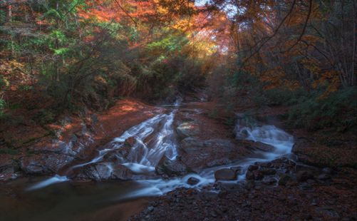 光雾山风景区