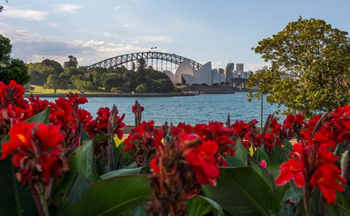 悉尼皇家植物园-悉尼旅游-重庆中青旅