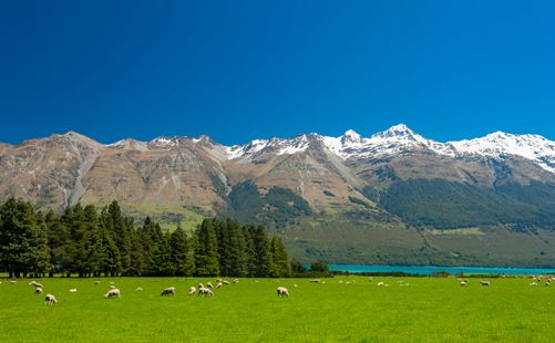 新西兰自驾游沿途风景