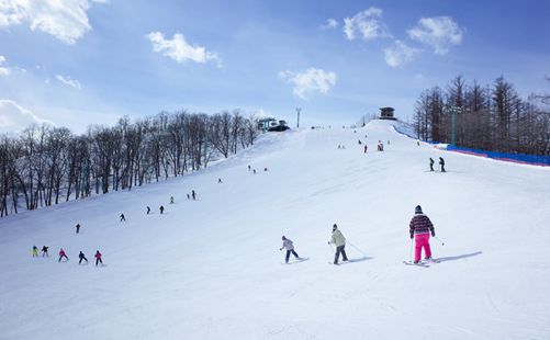 日本北海道滑雪