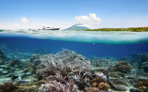 印尼美娜多布纳肯国家海洋公园