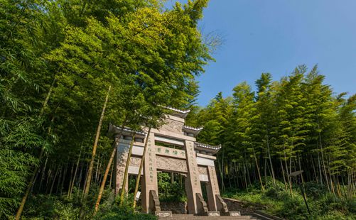 茶山竹海-重庆周边旅游-重庆中青旅