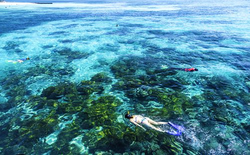 大堡礁浮潜-澳大利亚旅游-重庆中青旅