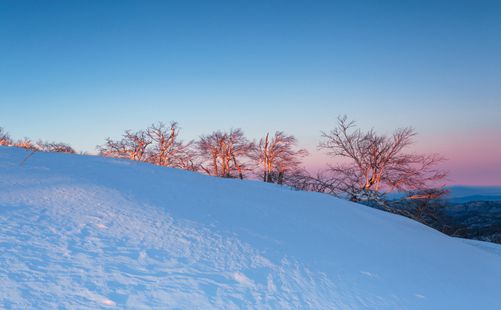 雪乡