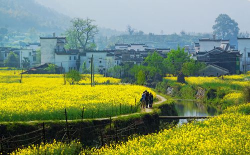 婺源