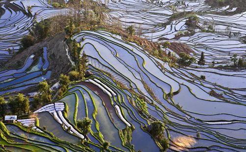 元阳梯田