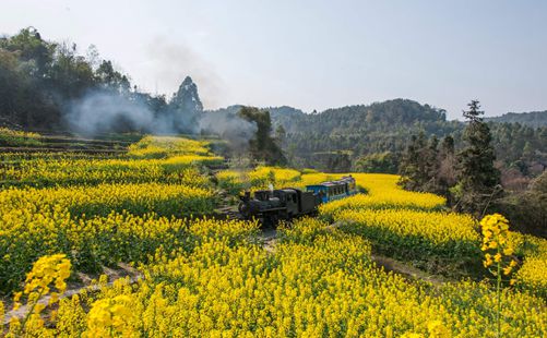 嘉阳小火车