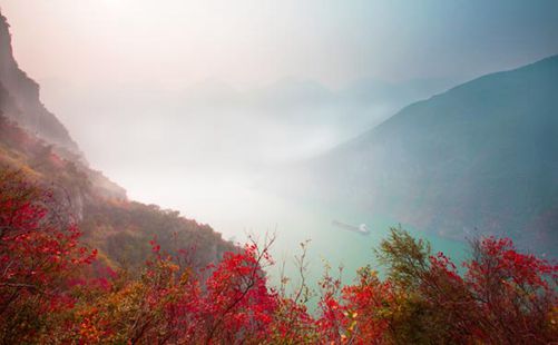 巫山红叶