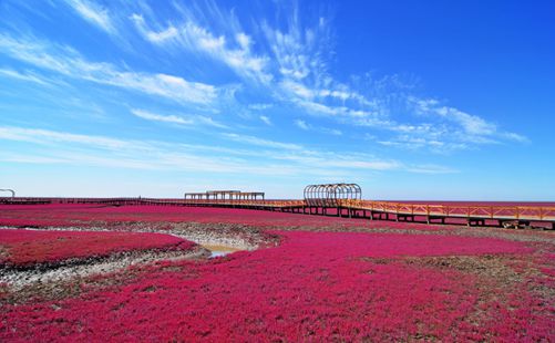 盘锦红海滩