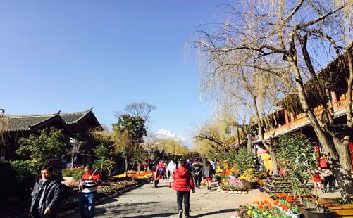 云南丽江古城风景-重庆中青旅