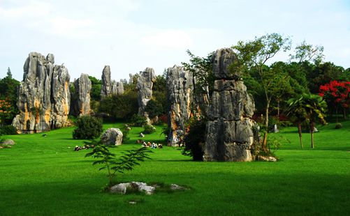 昆明石林风景-重庆中青旅