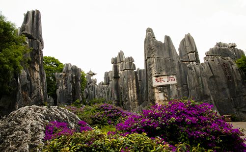 云南昆明石林-重庆中青旅