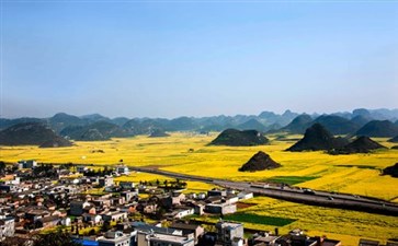 罗平油菜花景区