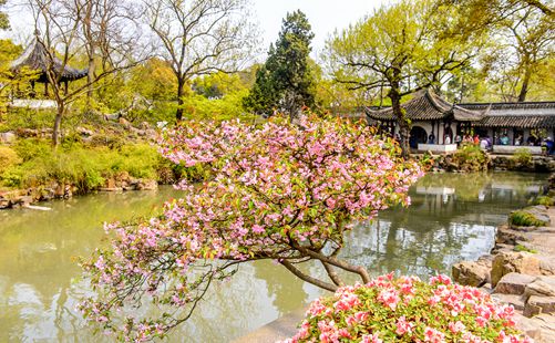 拙政园风景-江苏旅游-重庆中青旅