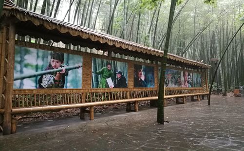 茶山竹海-重庆旅游-重庆中青旅