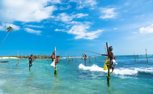 传统高跷钓鱼-斯里兰卡旅游-重庆中青旅