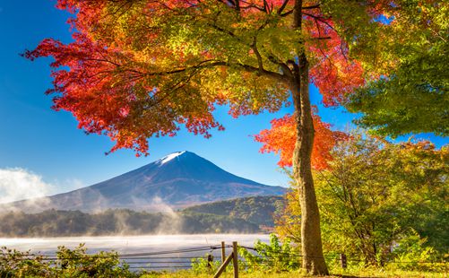 富士山-日本旅游-重庆中青旅