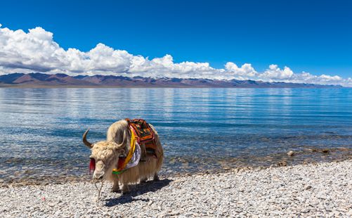 纳木错-西藏旅游-重庆中青旅