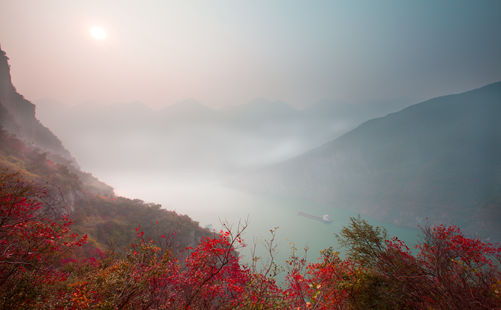 三峡红叶-三峡旅游-重庆中青旅