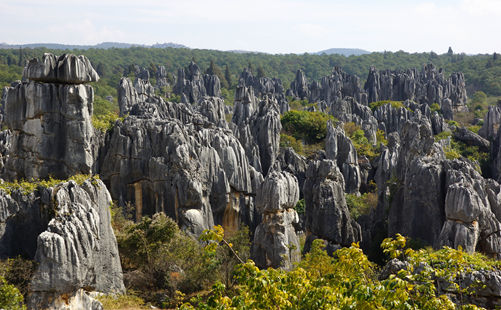 石林-昆明旅游-重庆中青旅