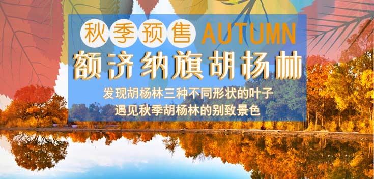 金秋盛景,相约胡杨林